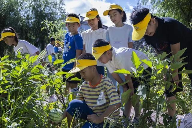 今年开学日不是9月1日！上海中小学最新校历→