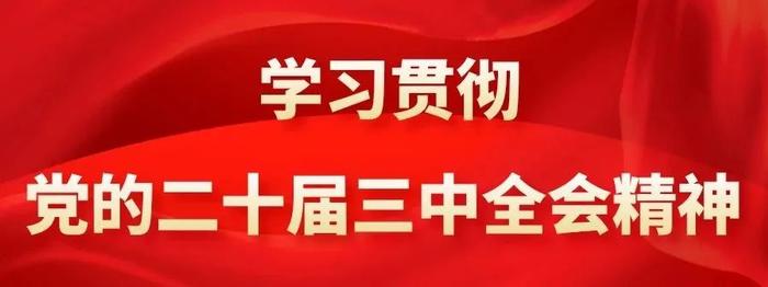 江苏省审计厅党组书记、厅长刘军：全力以赴抓好落实 以高质量审计监督护航进一步全面深化改革