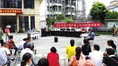 湖北咸宁市政法系统干警下沉一线为群众排忧解难