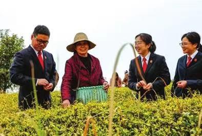 湖北咸宁市政法系统干警下沉一线为群众排忧解难