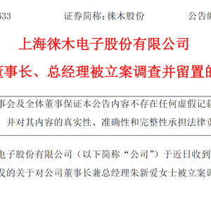 “女董事长被查，年薪129万，持股2.75亿” 比亚迪 董事长 供应商 手机 总经理 徕木股份 系统 连接器 朱新爱 宁德时代 sina.cn 第2张