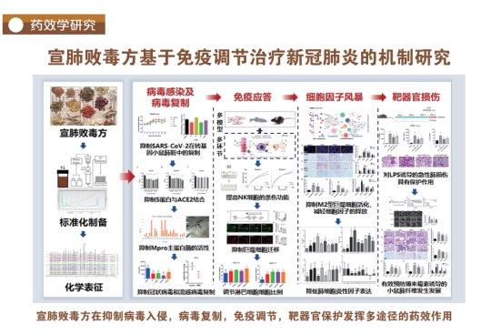 阳或没阳，选宣肺败毒，“手拿把掐”各种呼吸道感染症状