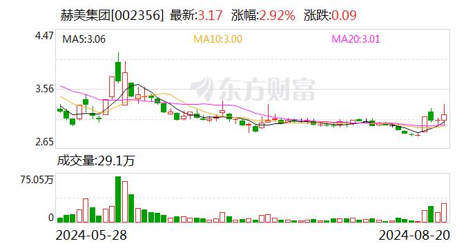 赫美集团：股东王雨霏拟转让5%股份给天蝎座基金