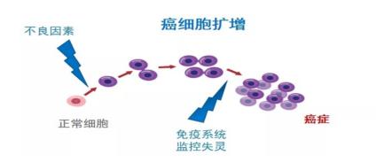 快速读懂肺癌的“免疫治疗”