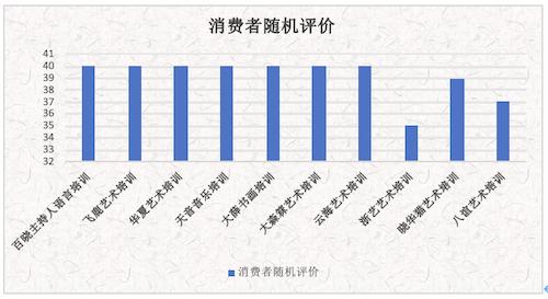 浙江省瑞安市艺术类培训机构比对测评报告