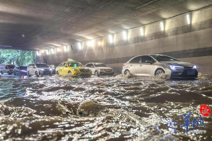 道路积水、列车晚点、景区关闭！直击广东多地大暴雨，避险指南→