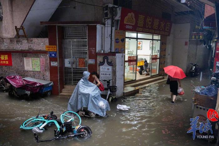 道路积水、列车晚点、景区关闭！直击广东多地大暴雨，避险指南→