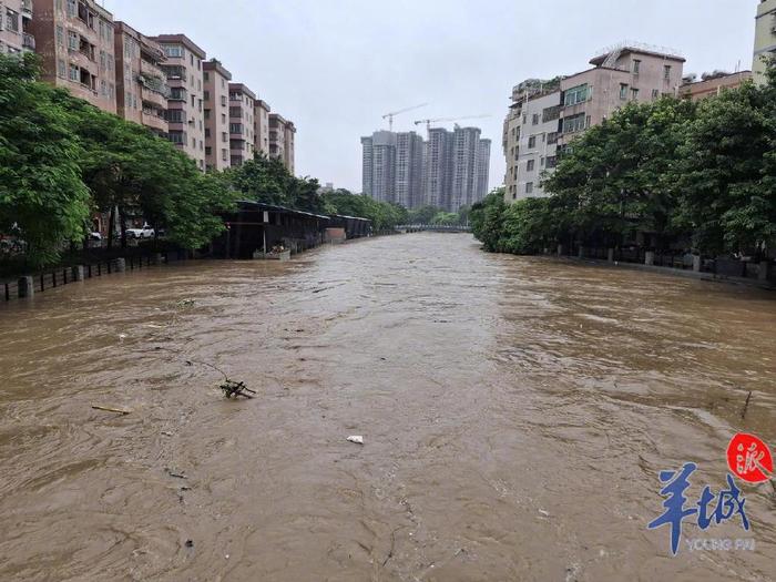 道路积水、列车晚点、景区关闭！直击广东多地大暴雨，避险指南→