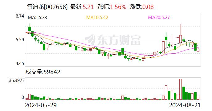 德邦证券给予雪迪龙增持评级，2024H1业绩承压，碳计量政策频发看好行业发展潜力