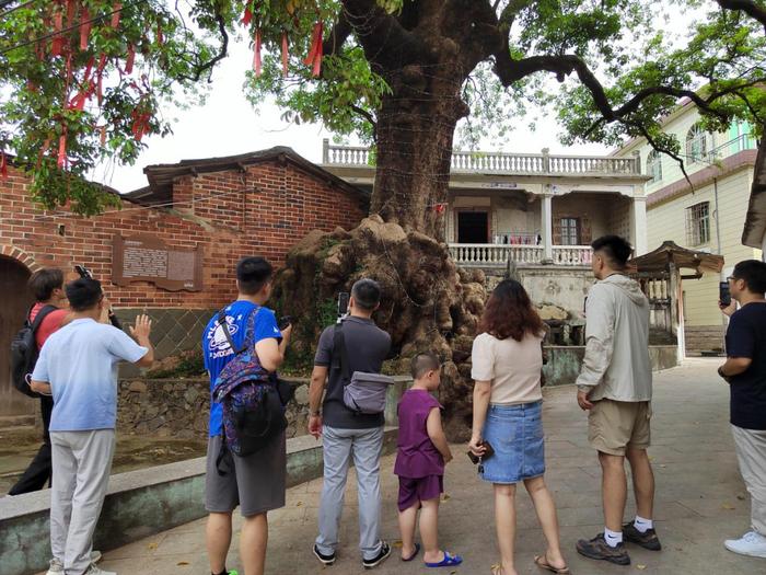 “乡约福建·美丽乡村”走进莆泉厦龙金牌旅游村