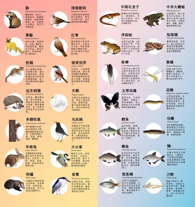 多彩生“静”守护者，全国生态日与生物多样性科普活动