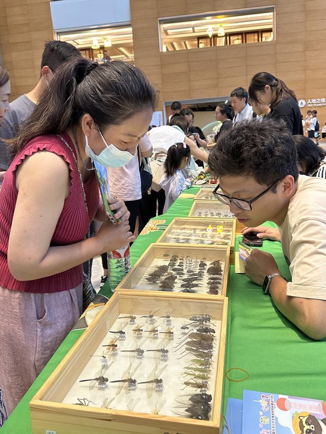 多彩生“静”守护者，全国生态日与生物多样性科普活动