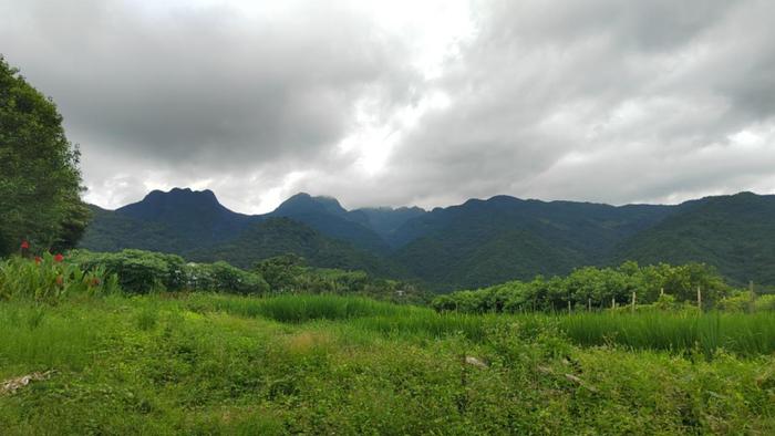 “乡约福建·美丽乡村”走进莆泉厦龙金牌旅游村