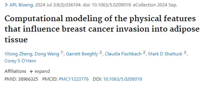 计算机模拟+创新体外实验模型！APL Bioeng｜耶鲁大学科研团队解开乳腺癌细胞侵袭脂肪组织之谜