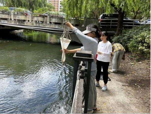 揭秘！带你走近静安水中微观世界的生命奇迹