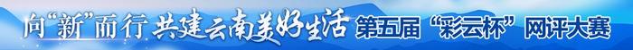 【网评大赛】视评：加快民营经济向“新”而行 中共玉溪市委党校