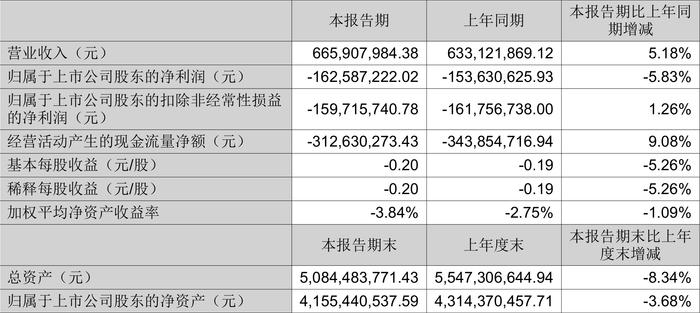 华宇软件：2024年上半年亏损1.63亿元