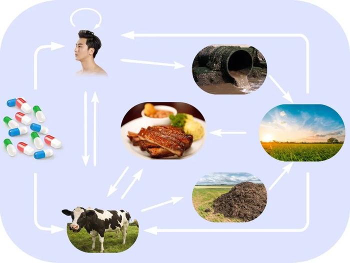 微生物耐药性已成世界公共卫生问题，怎么解决？中国科学家找到了源头