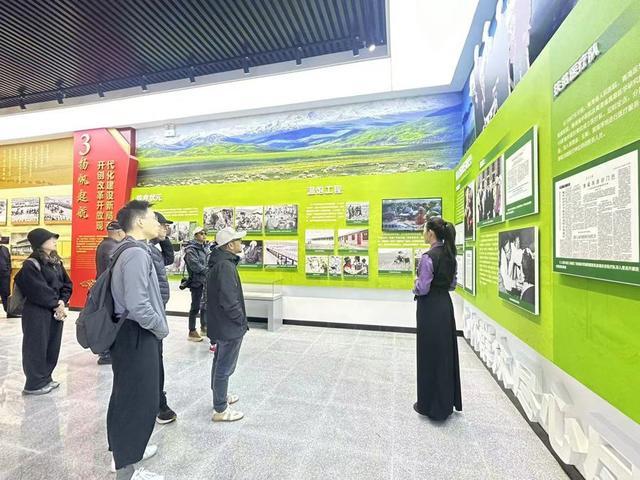 青海湖畔歌唱，上海文艺家开展文艺志愿主题活动