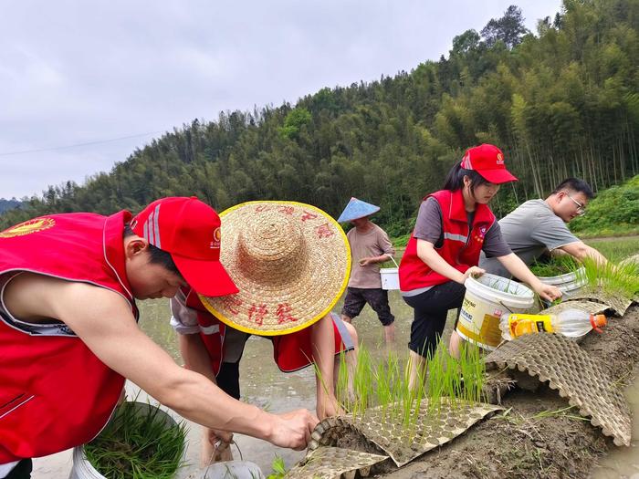 江西交通投资集团宜春管理中心：“春风”服务“宜”路相随