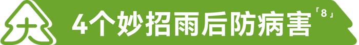 你已加入“暴雨群聊”，留意4个数字，关键时刻或许能救命