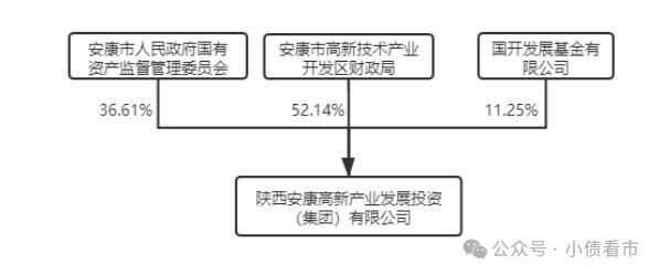 “安康高新”被纳入被执行人名单，涉及1.7亿担保债务