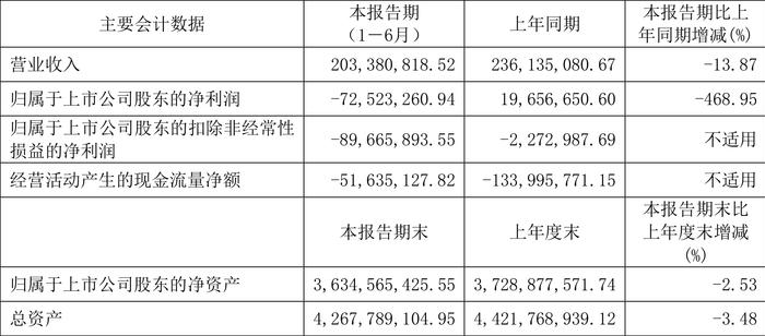 华盛锂电：2024年上半年亏损7252.33万元