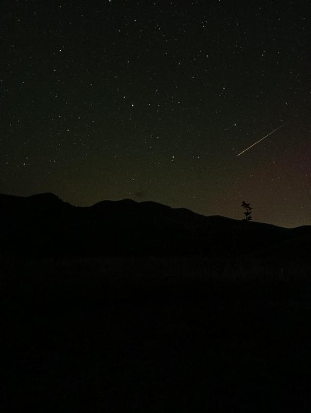 英仙座流星雨“绽放”夜空！你可能想不到它是怎么形成的……