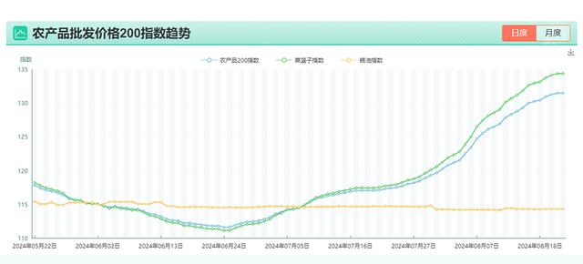 蔬菜价格后续走势如何？记者实地探访批发市场