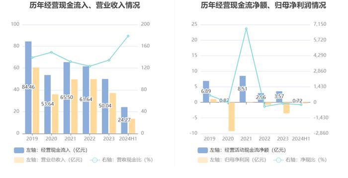 龙洲股份：2024年上半年亏损3401.62万元