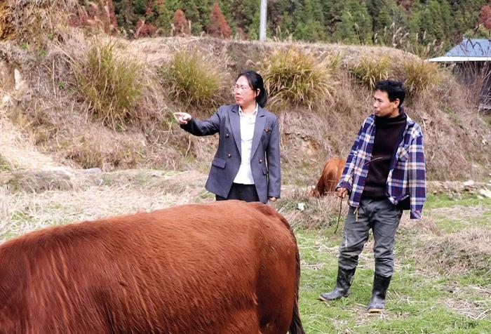 龙荣：“群众的呼声，再小都要当作大事办”