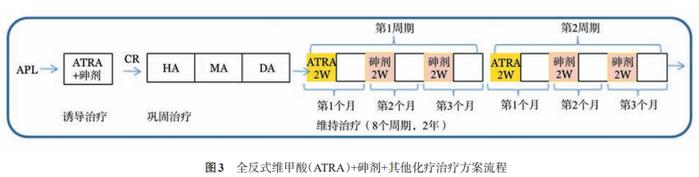 诊疗指南丨中国急性早幼粒细胞白血病(2018年版)