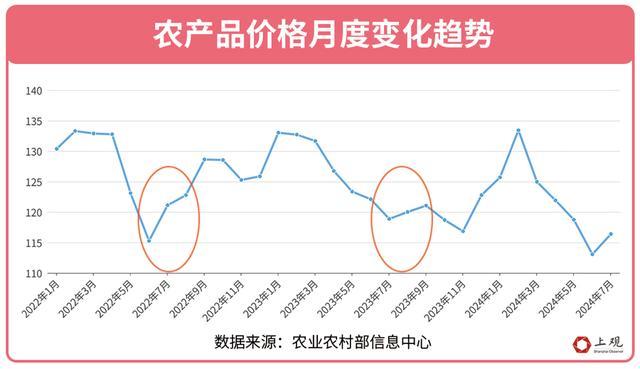 这个夏天，是什么让上海的黄瓜价格上涨