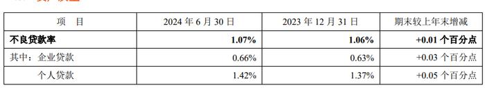 营收下行、不良贷款率上升！平安银行艰难磨底|中报观察①