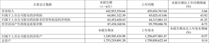 新中港：2024年上半年净利润6480.13万元 同比增长43.92%