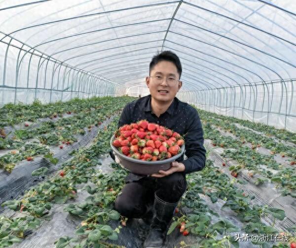 杭州建德招募“莓好菁英”背后有深意