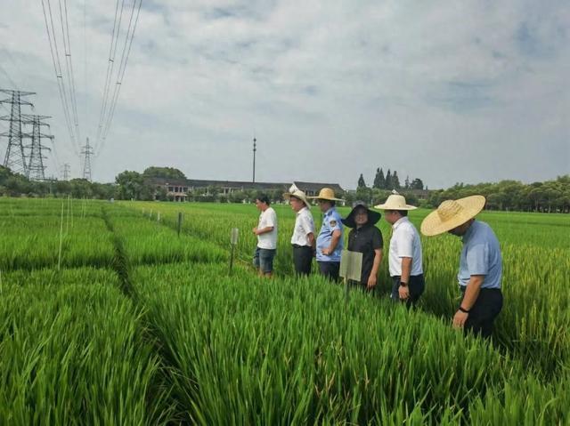 100%全覆盖检查！从源头上保障本市2025年农业用种安全