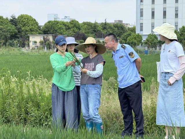 100%全覆盖检查！从源头上保障本市2025年农业用种安全