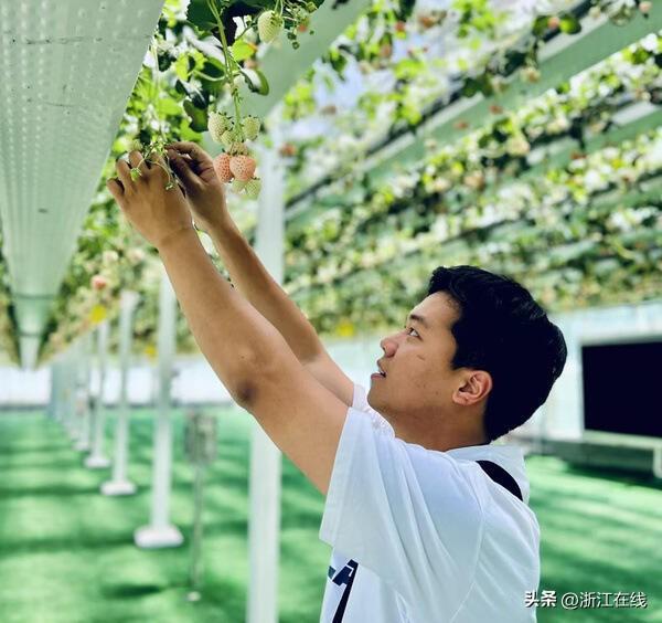 杭州建德招募“莓好菁英”背后有深意