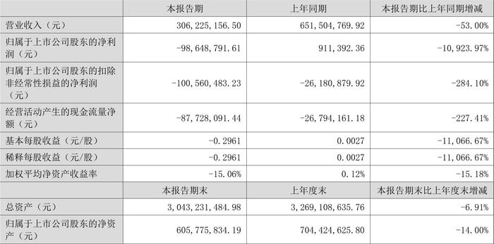 雪浪环境：2024年上半年亏损9864.88万元