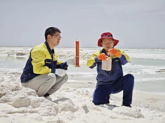 央视大型纪录片《绽放的花儿》在青海湖畔盛大开机