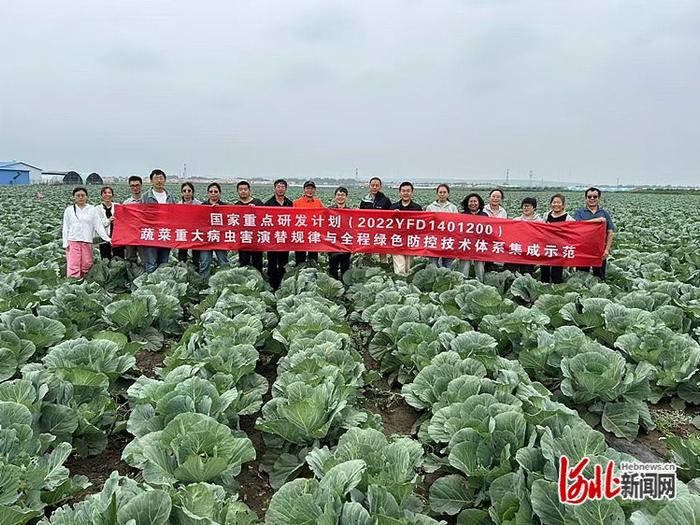 “十字花科蔬菜主要病虫害全程绿色防控技术体系” 观摩测评会在张家口召开