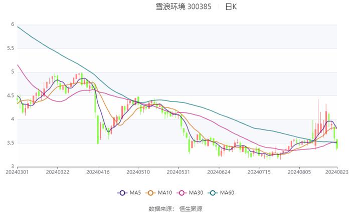 雪浪环境：2024年上半年亏损9864.88万元