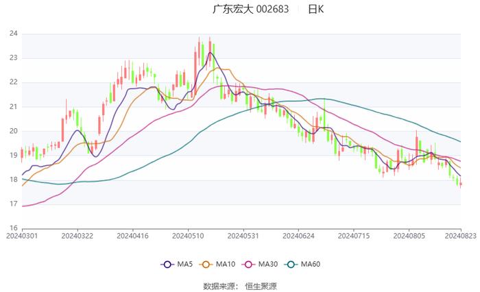 广东宏大：2024年上半年净利润同比增长29.17% 拟10派2元