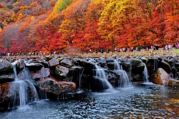 秋季旅游线路“百花齐放” 秋色摄影与冰雪奇缘齐上阵