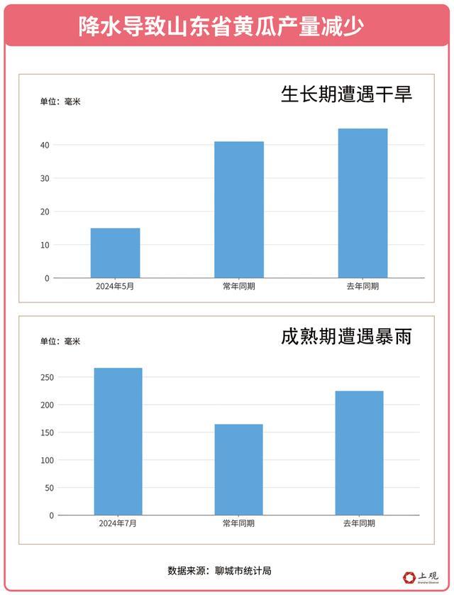 这个夏天，是什么让上海的黄瓜价格上涨