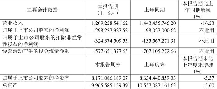 华大智造：2024年上半年营业收入12.09亿元