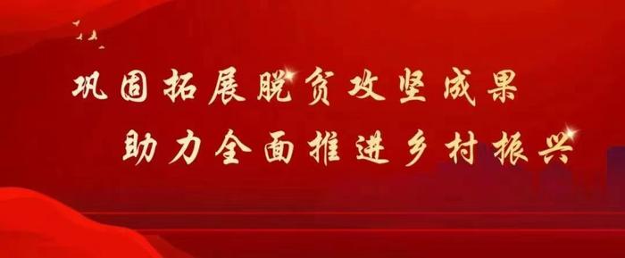 天津武清区抓实“四项行动”赋能乡村全面振兴