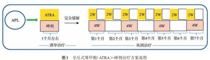 诊疗指南丨中国急性早幼粒细胞白血病(2018年版)