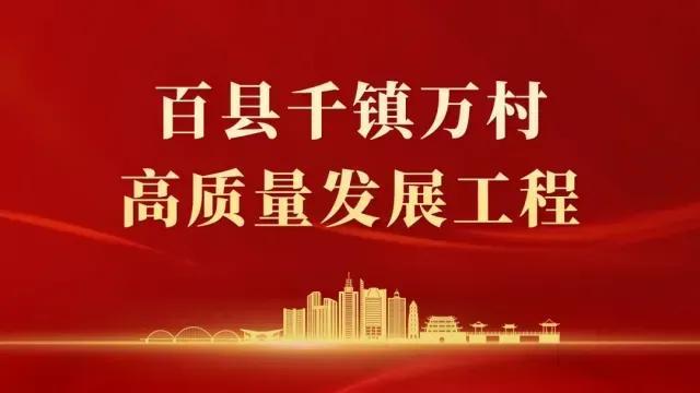 现场交易量9.8吨，意向交易额超6亿元！2024潮州工夫茶大会成绩亮眼